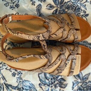 Stylish Tan and Brown Snake Women's Gladiator Sandals